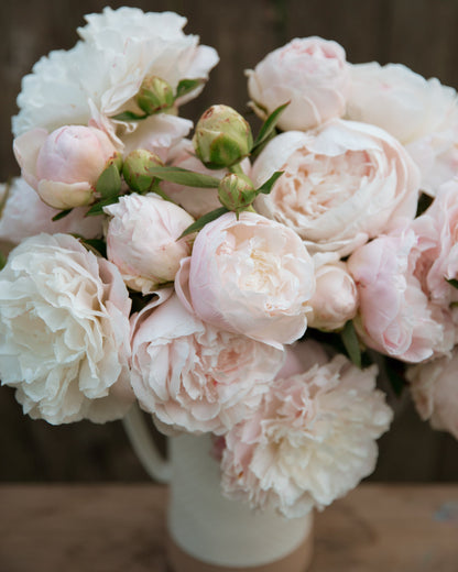 Bouquet of light pink and white peony flowers in a vase on a wooden surface.