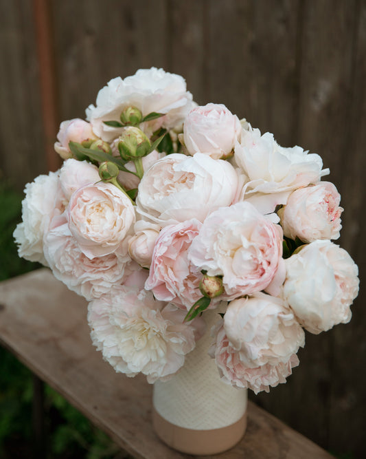 Bouquet of pink and white peony flowers in a vase on a wooden surface with a blurred wooden background