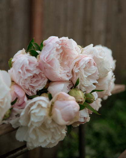 Bouquet of pink and white peony flowers with a blurred wooden background