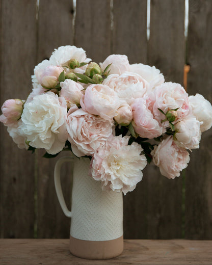 Bouquet of pink and white peony flowers in a textured vase against a wooden fence.