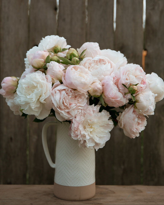 Bouquet of pink and white peony flowers in a textured vase against a wooden fence.