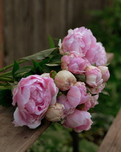 Pink flowers on a wooden surface with a blurred natural background