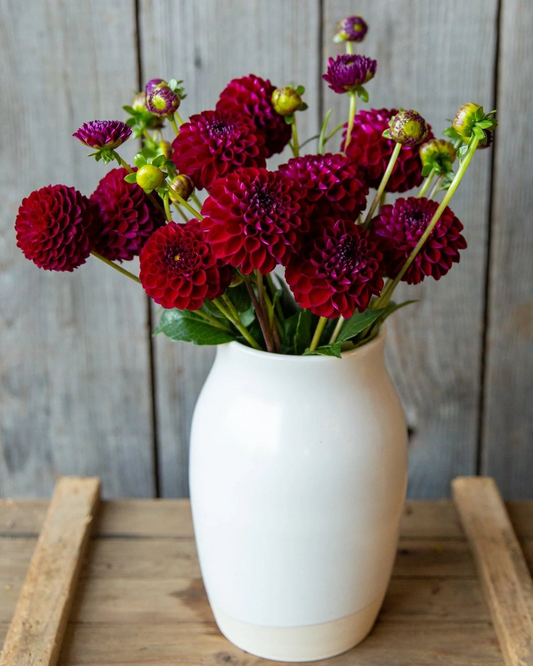 White vase with red dahlias on a wooden surface against a wooden wall.