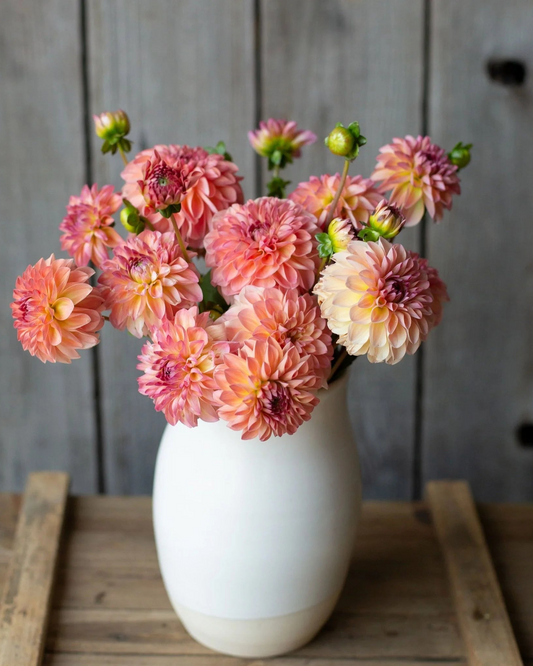 White vase with pink and peach flowers on a wooden surface and rustic wooden wall background