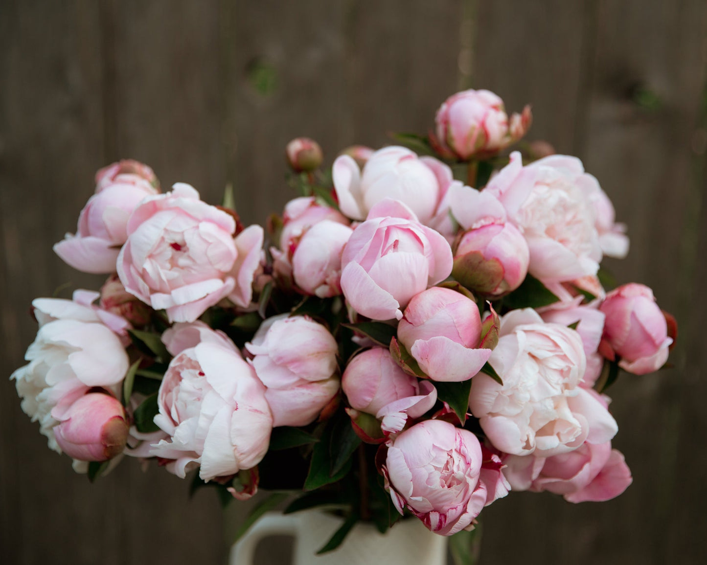 Bouquet of pink peonies in a white vase against a blurred background