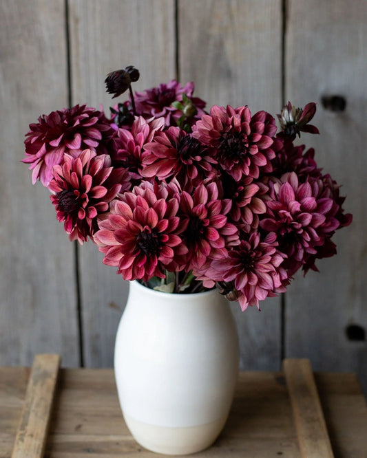 White vase with pink flowers on a wooden surface and background