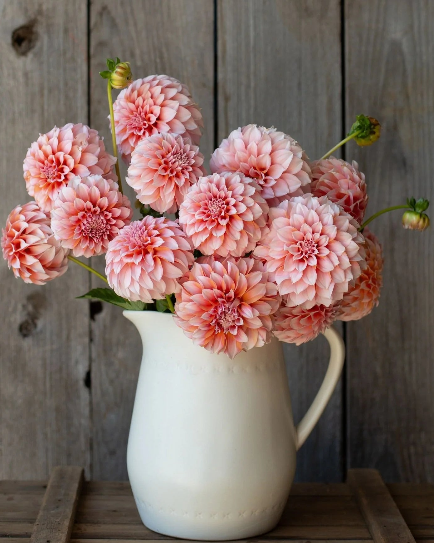 White pitcher filled with pink flowers against a wooden background
