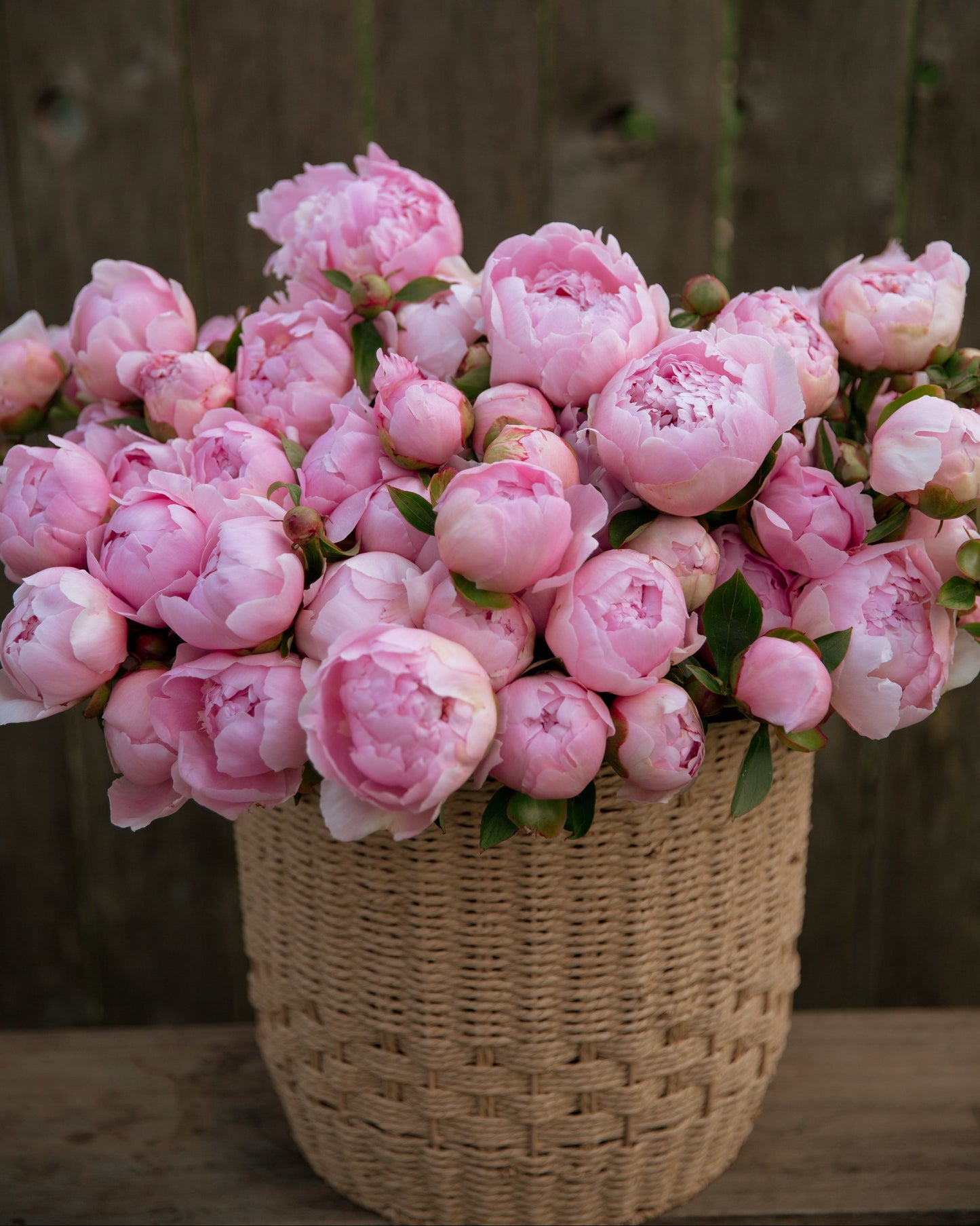 Basket of pink peonies against a wooden background