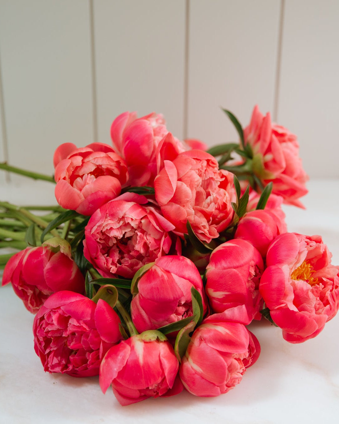 Bouquet of coral color peony flowers on a white surface with a light wooden background