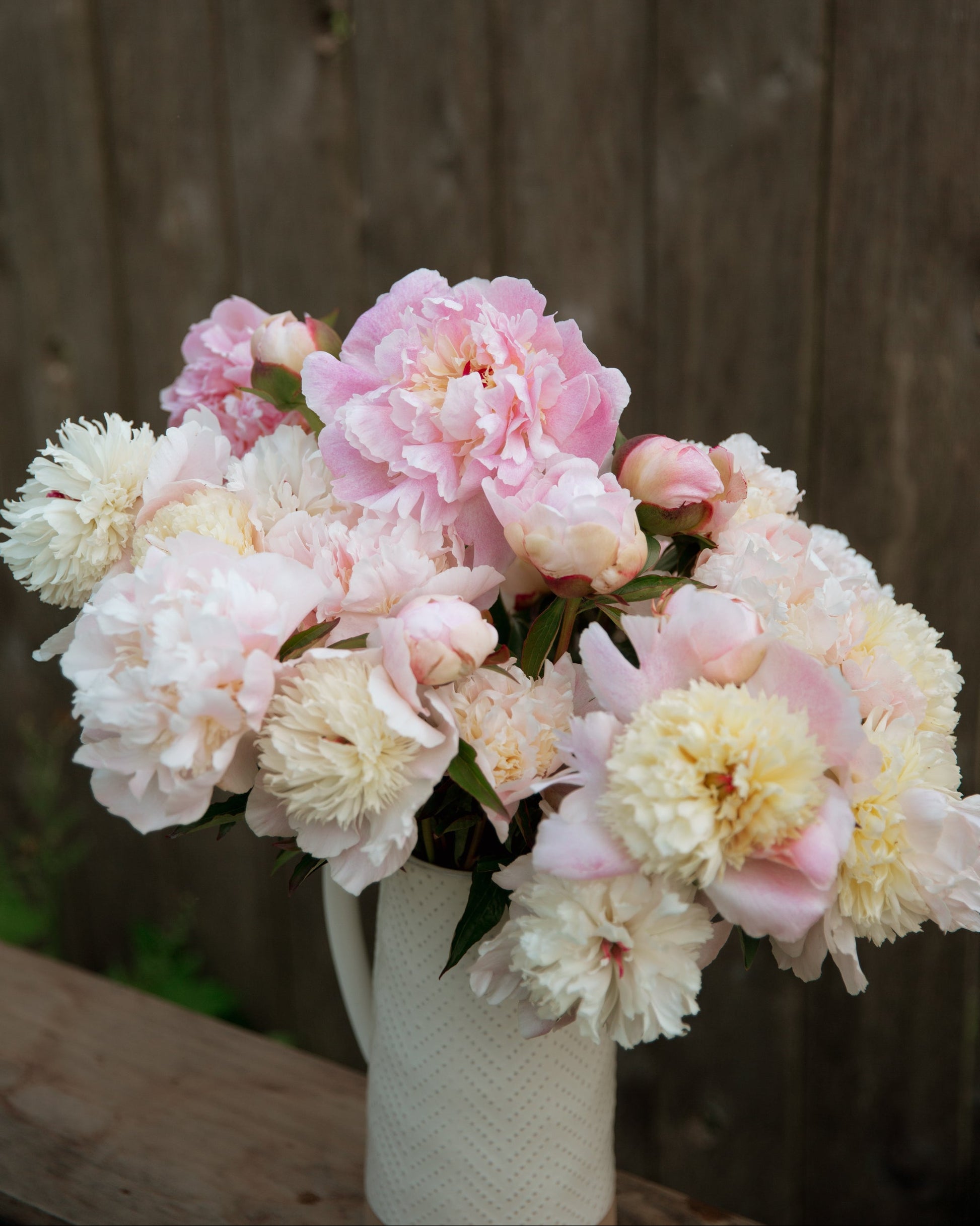 Bouquet of pink and white peony flowers in a vase against a wooden background