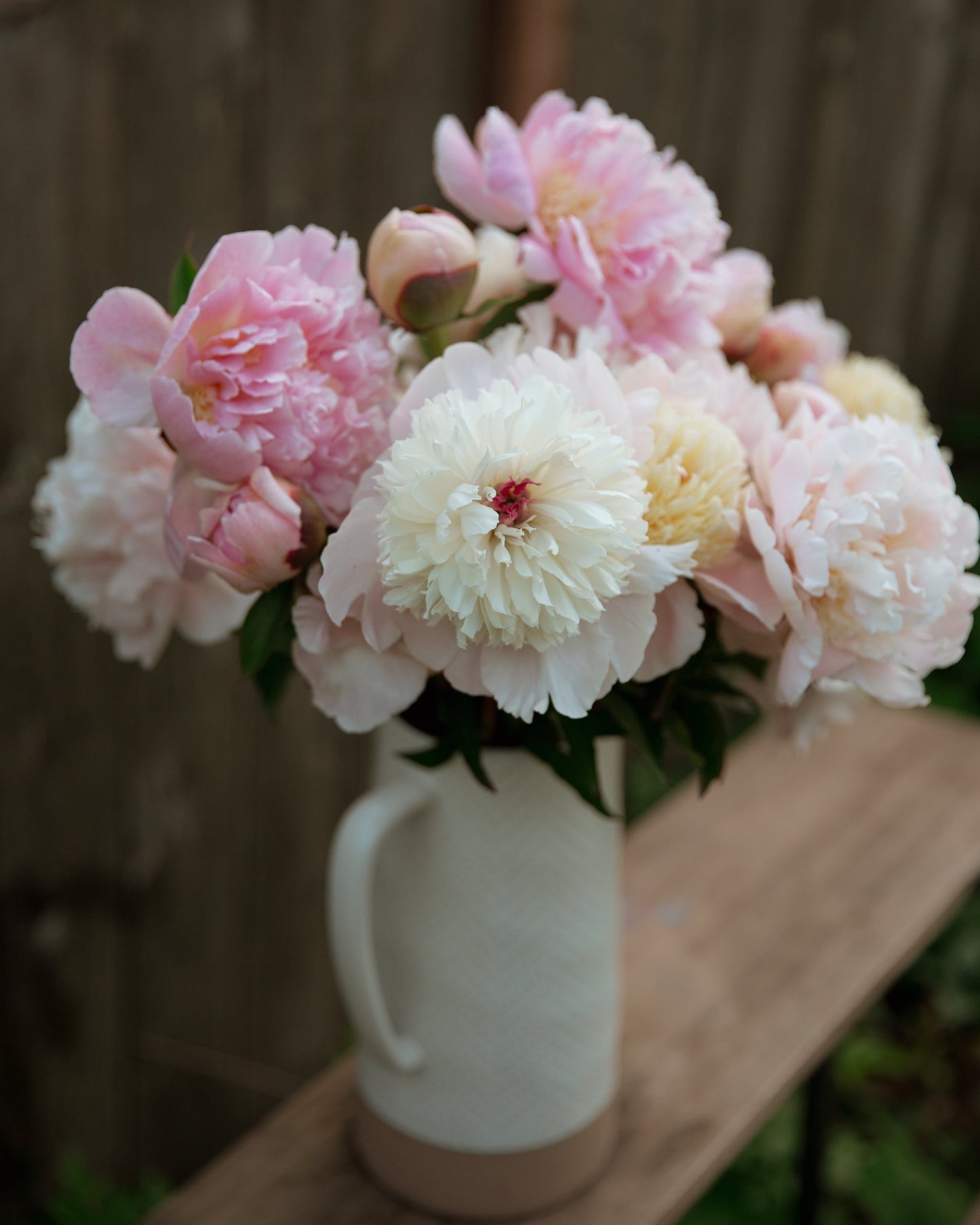 Bouquet of pink and white peony flowers in a white vase on a wooden surface.