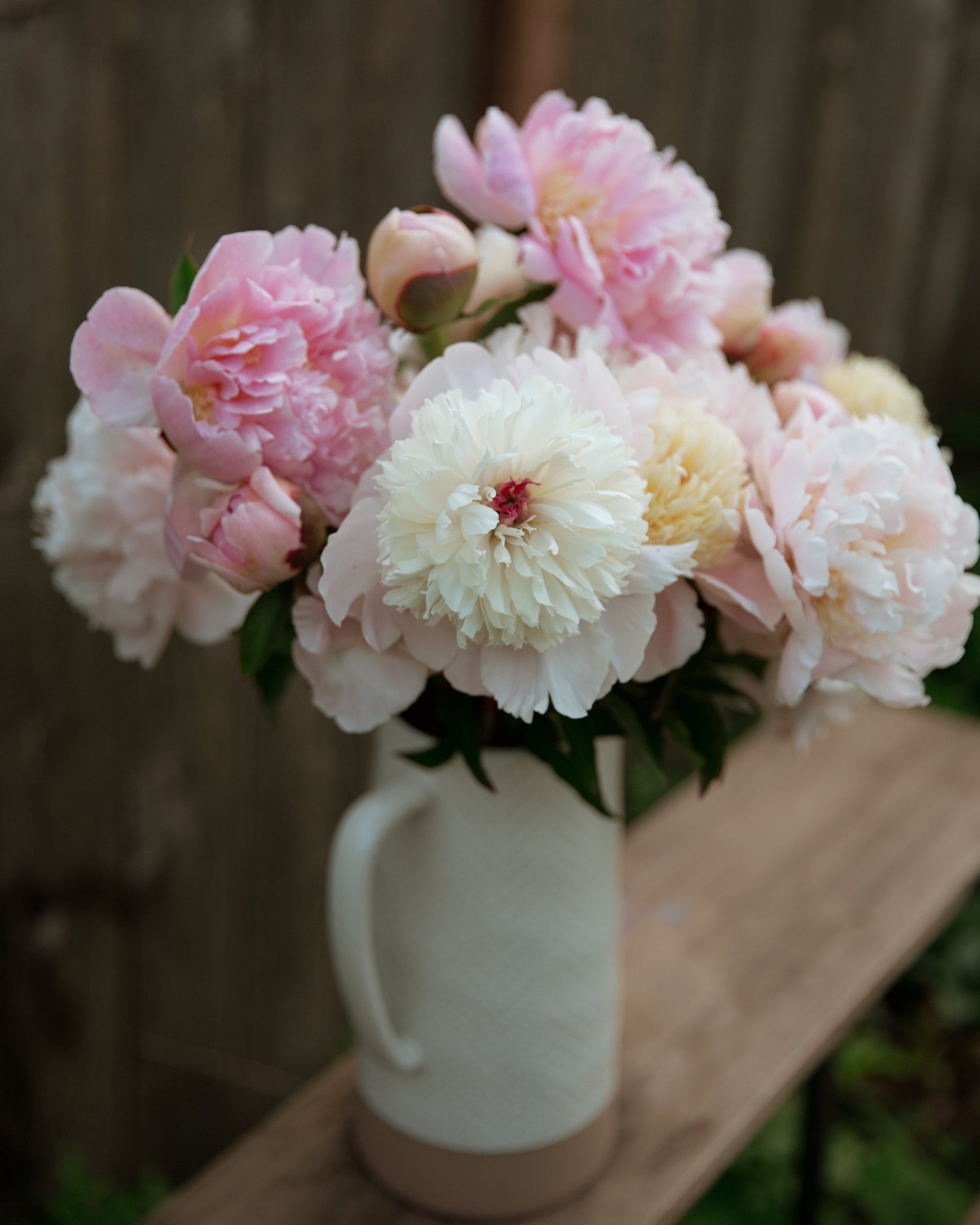 Bouquet of pink and white peony flowers in a white vase on a wooden surface.