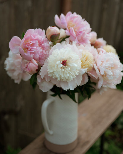 Bouquet of pink and white peony flowers in a white vase on a wooden surface.