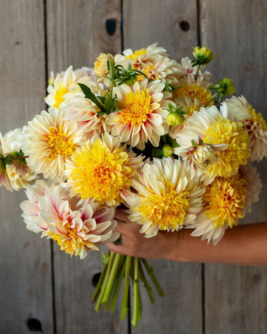 Bouquet of yellow and white flowers held against a wooden background