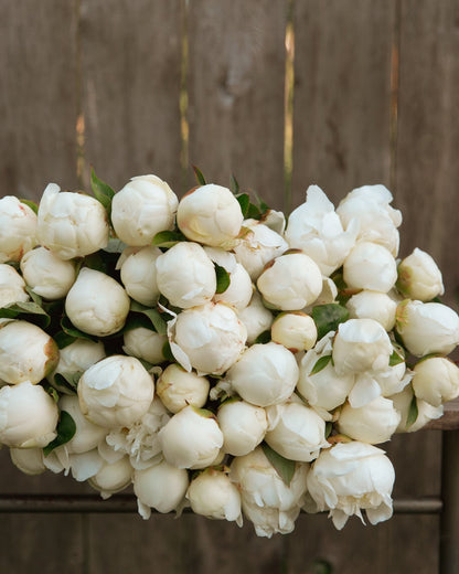 Bouquet of white peony flowers on a wooden surface with a wooden fence background