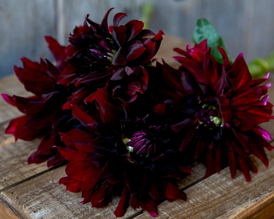 Bouquet of dark red flowers on a wooden surface with a rustic background