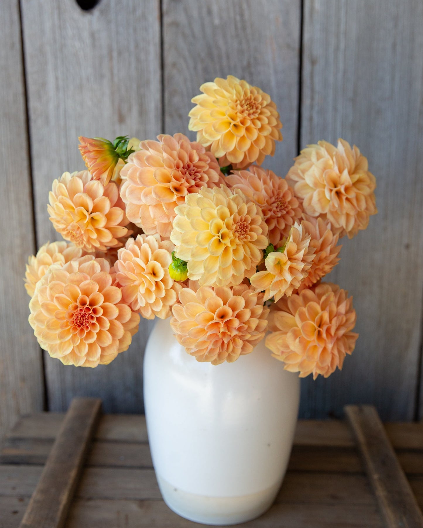 Bouquet of peach-colored flowers in a white vase against a wooden background
