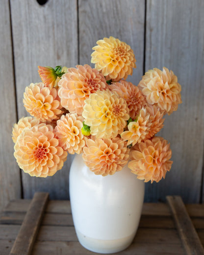 Bouquet of peach-colored flowers in a white vase against a wooden background