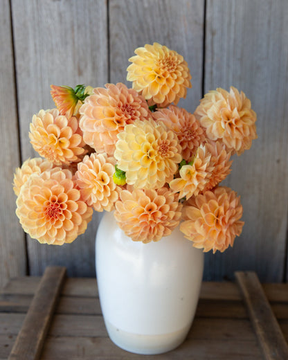 Bouquet of peach-colored flowers in a white vase against a wooden background