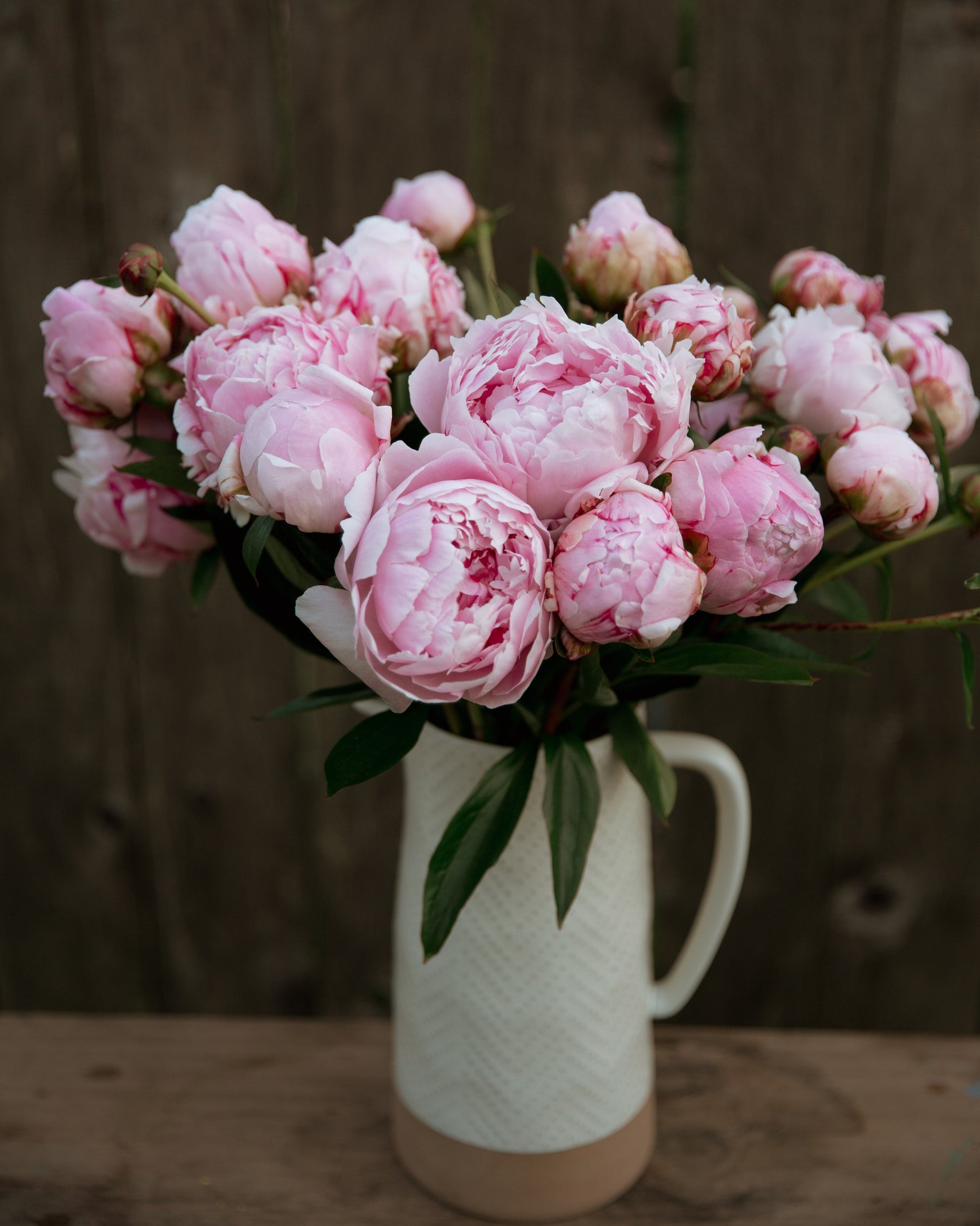 Bouquet of pink peonies in a white vase on a wooden surface with a dark background