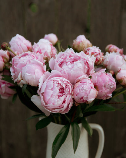 Bouquet of pink peonies in a white vase against a blurred background