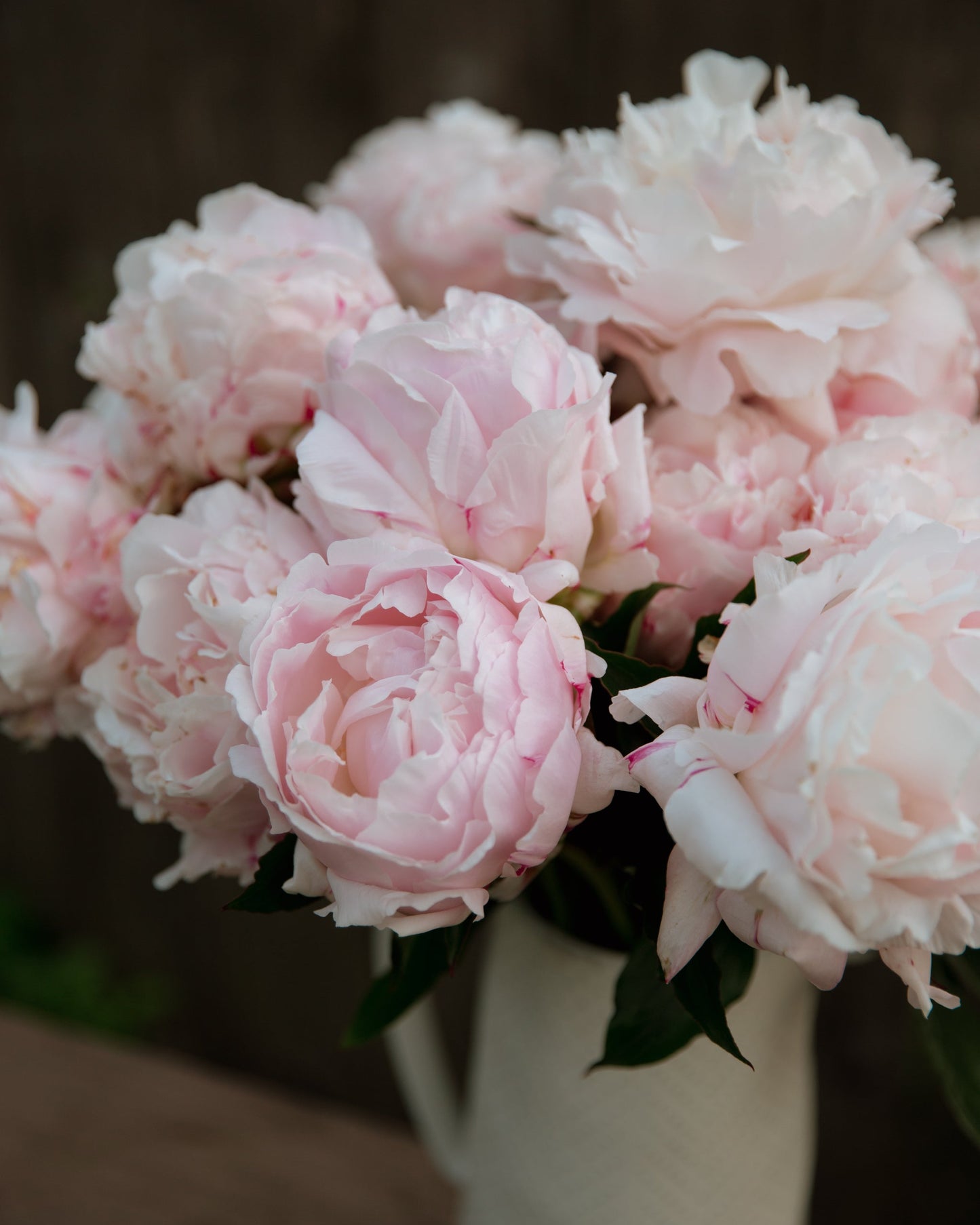 Bouquet of pink peonies in a white vase against a blurred background