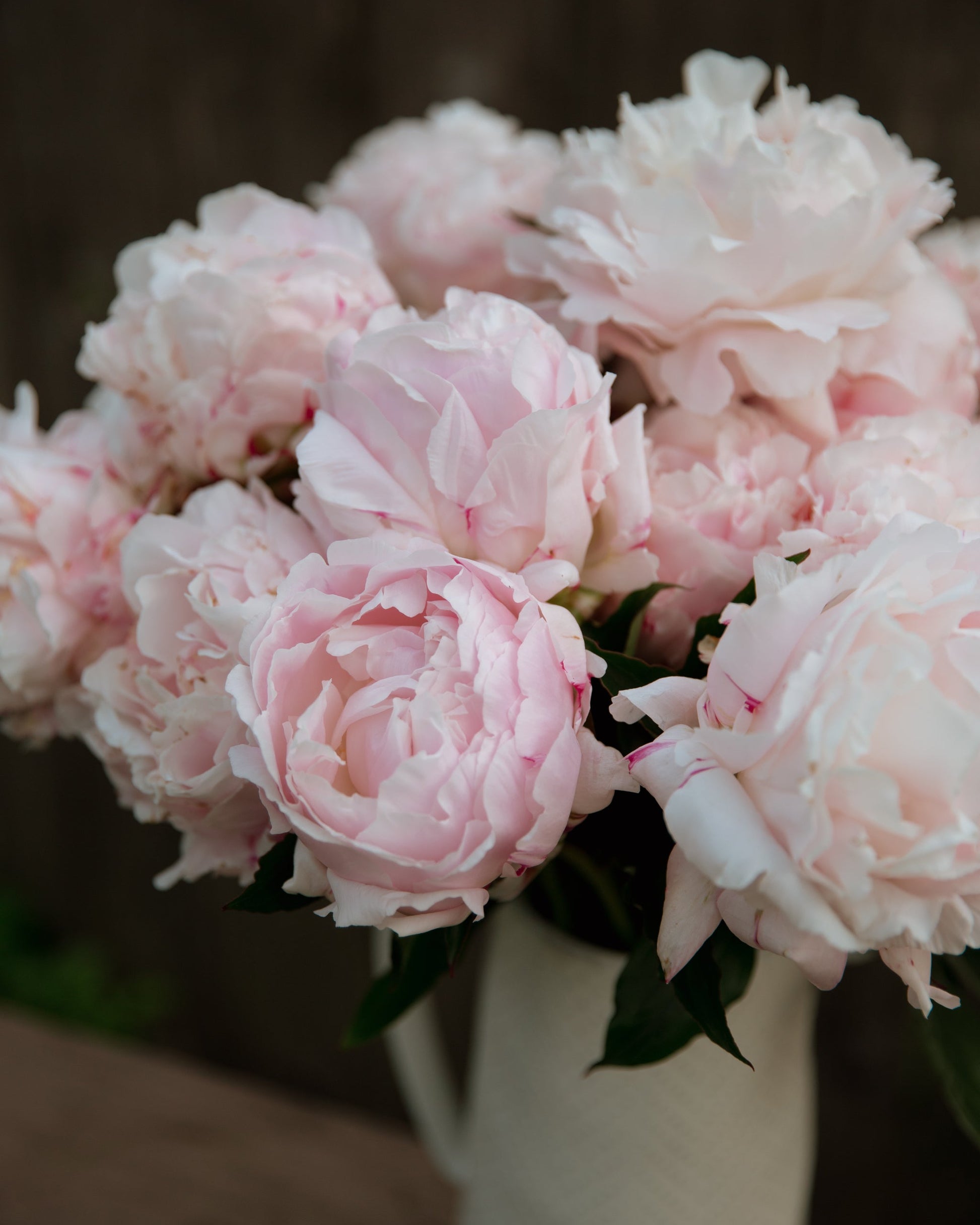 Bouquet of pink peonies in a white vase against a blurred background