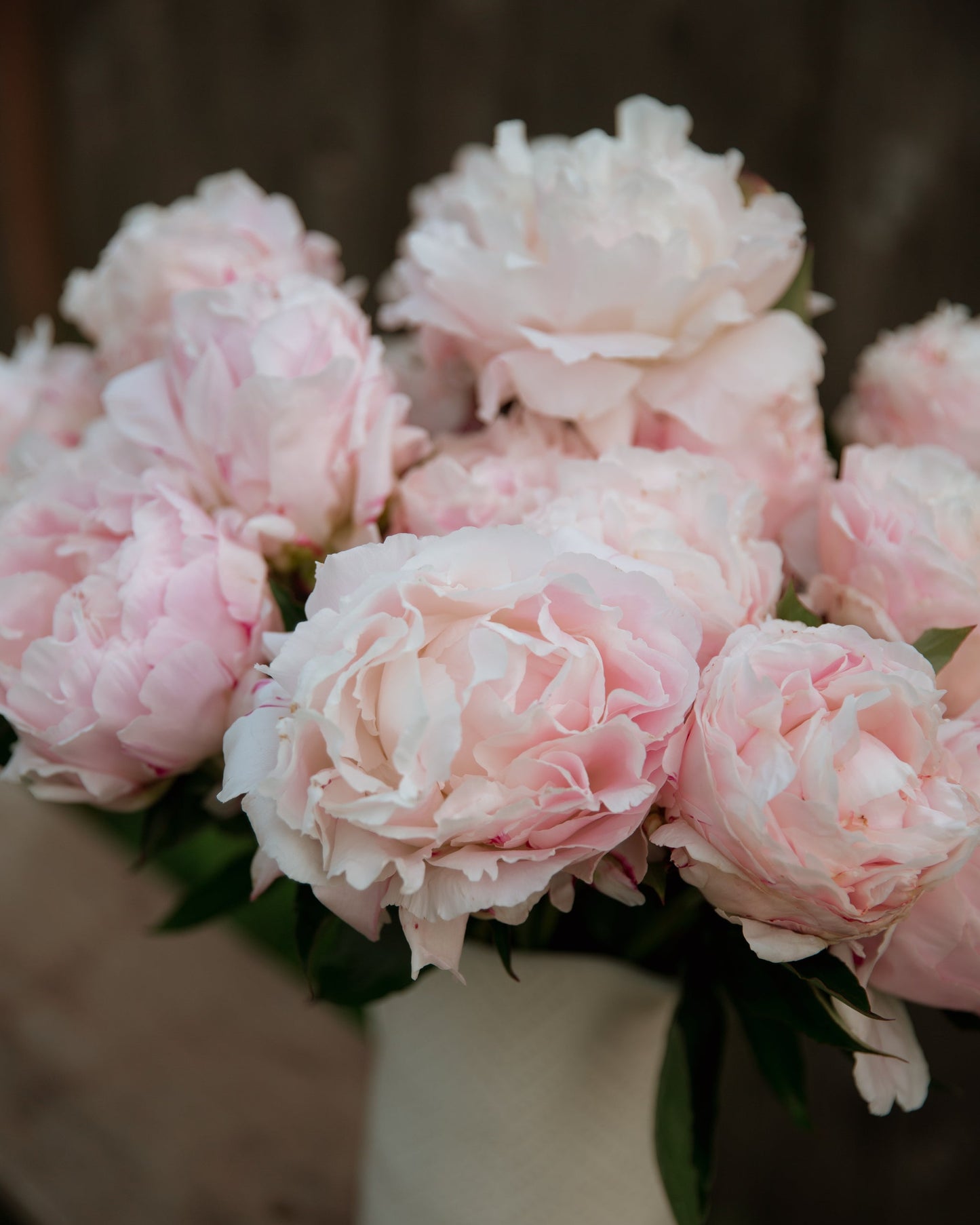 Bouquet of pink flowers in a white vase on a wooden surface