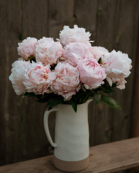 Bouquet of pink peonies in a white vase on a wooden surface with a wooden background