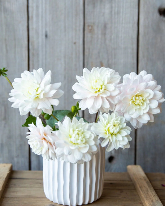 White flowers in a vase on a wooden surface with a rustic wooden background