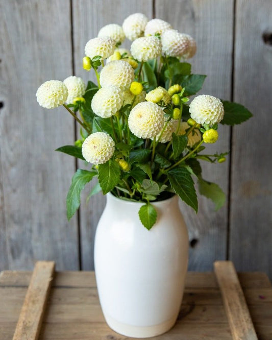 White vase with white flowers on a wooden surface against a wooden background