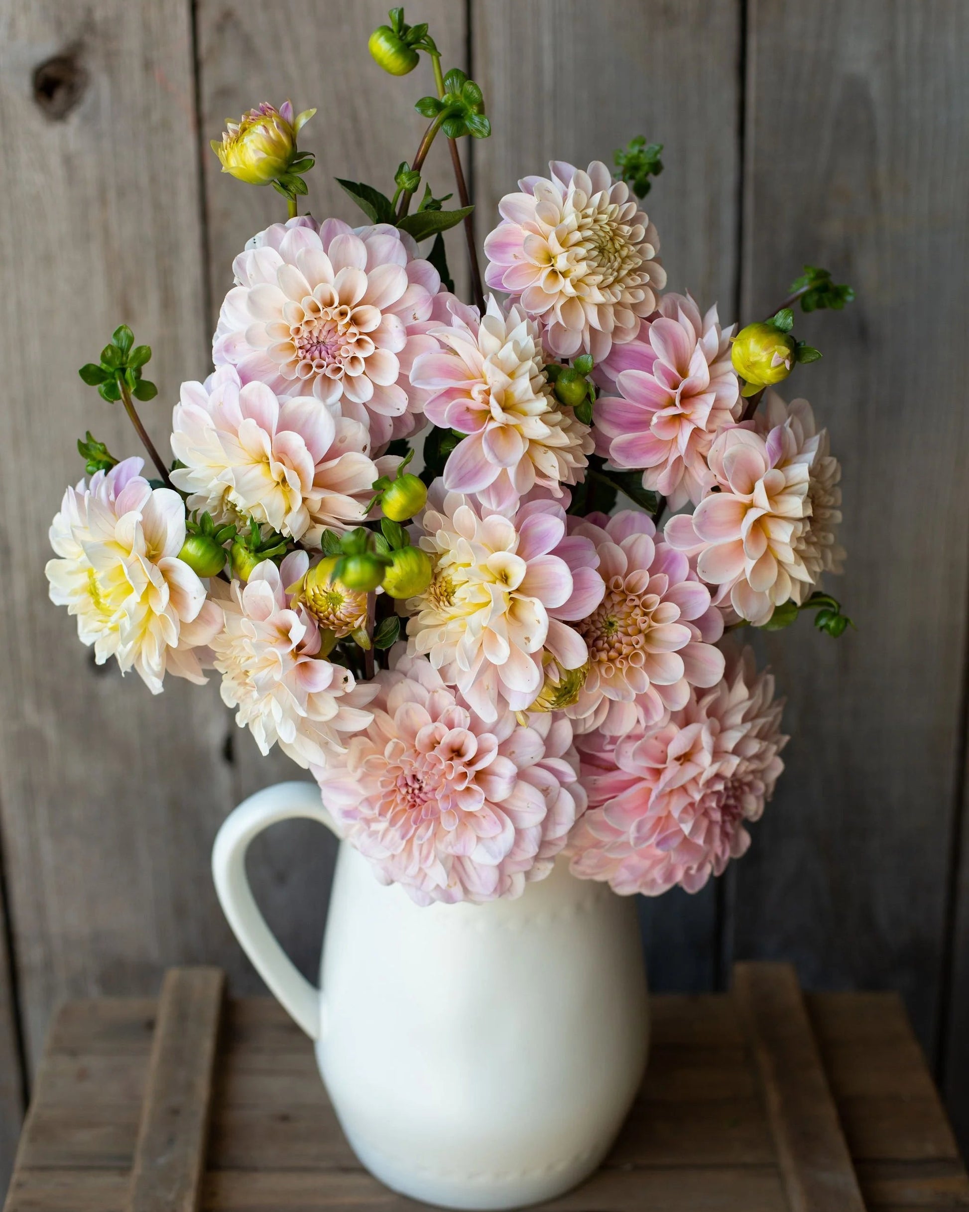 White pitcher filled with a bouquet of pastel flowers against a wooden background