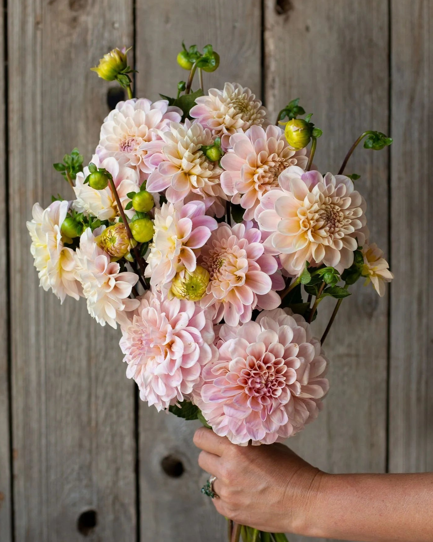 Bouquet of pink and white flowers held against a wooden background