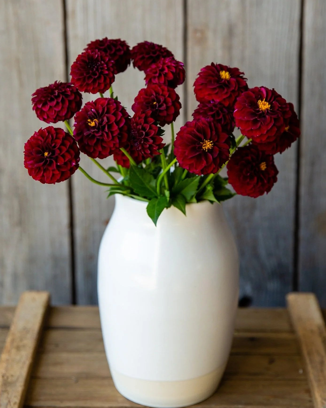 White vase with red flowers on a wooden surface against a wooden wall.