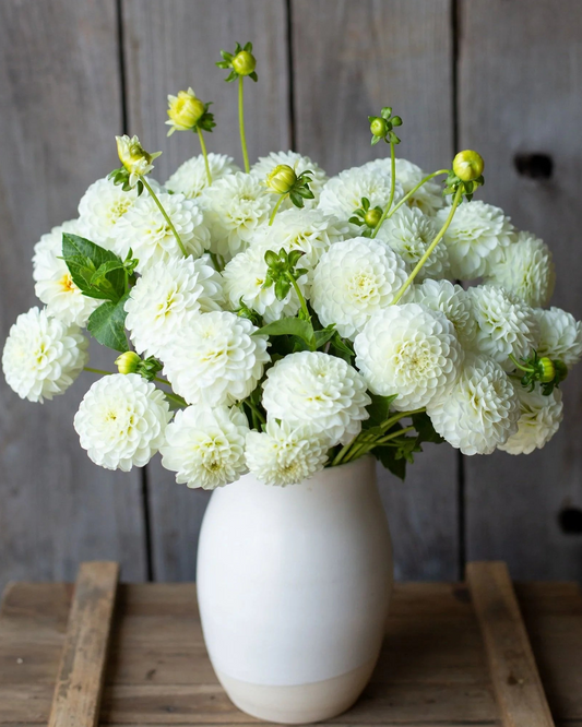 White flowers in a white vase on a wooden surface with a wooden background