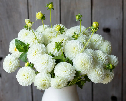 Bouquet of white flowers in a white vase against a wooden background