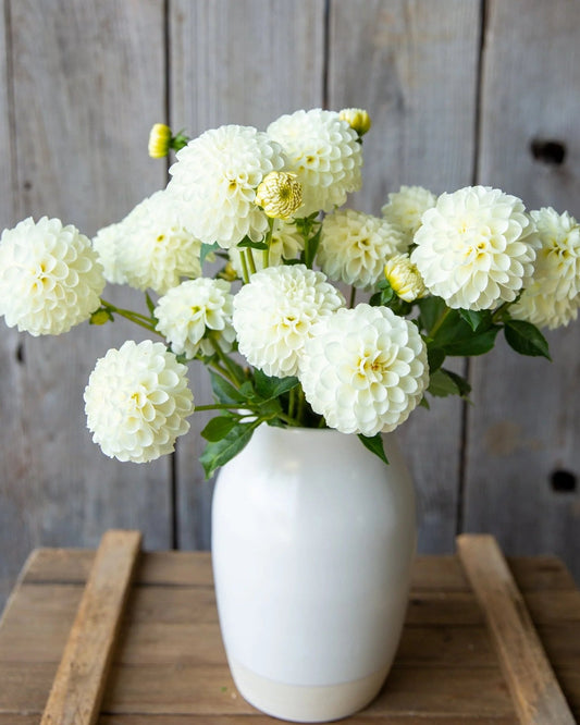 White flowers in a white vase on a wooden surface with a rustic wooden background