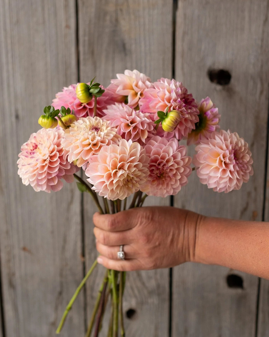 Hand holding a bouquet of pink flowers against a wooden background